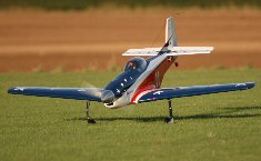 Hangar 9 Mustang nose over