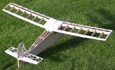 Quo Vadis electric vintage model airplane uncovered