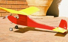 RC electric cardinal